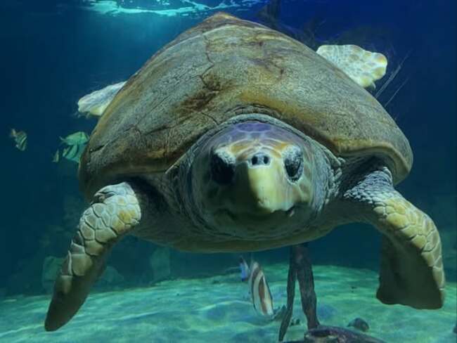 671233876_18389332708083983_8302374272588414766_n