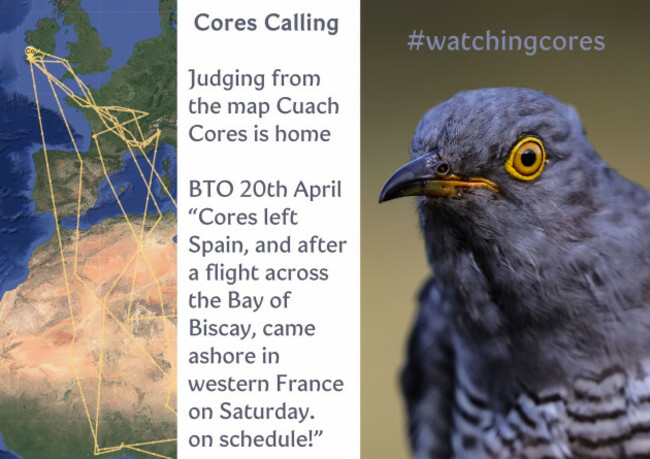 673138212_1320600900175533_1830778301289571510_n