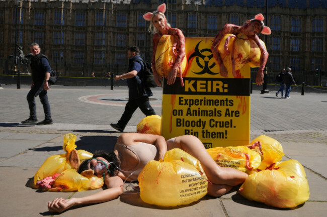 on-world-day-for-animals-in-laboratories-peta-campaigners-people-for-the-ethical-treatment-of-animals-demonstrate-to-demand-an-end-to-cruel-laboratory-experiments-on-animals-near-parliament-in-lon
