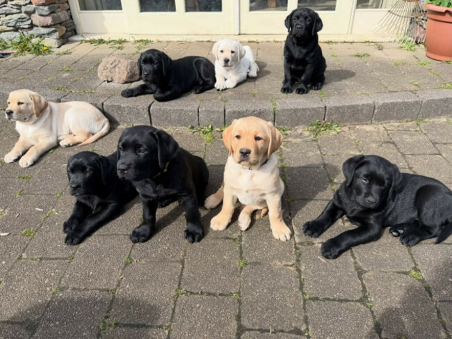 662002508_18096832121017658_8457283236554641157_n