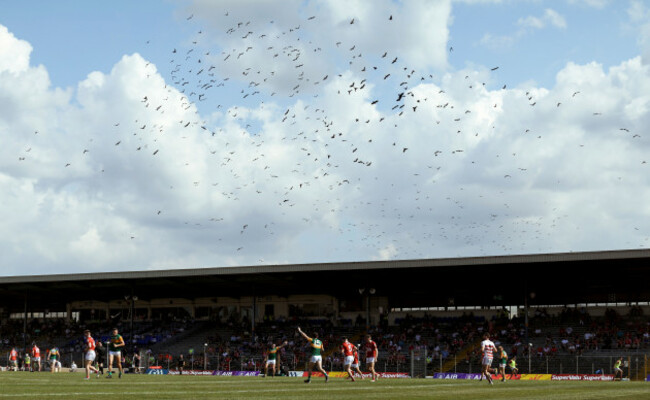 a-murder-of-crows-fly-over-fitzgerald-stadium-during-the-game