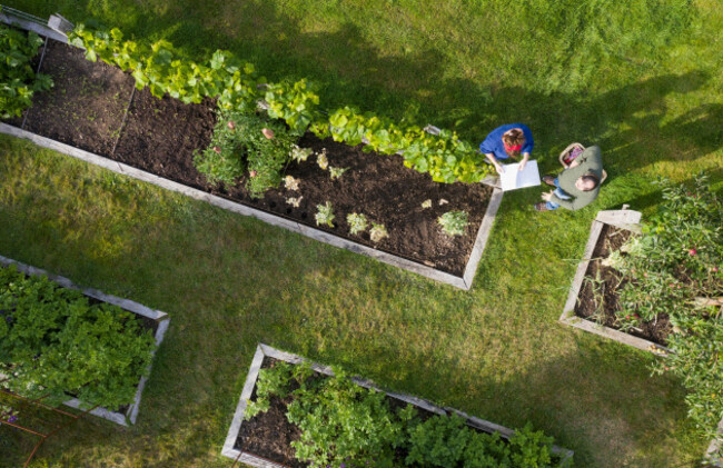 view-from-above-couple-tending-to-raised-bed-vegetable-garden