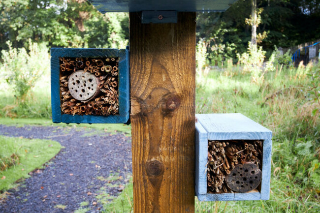 bee-and-insect-hotels-in-swan-park-buncrana-county-donegal-republic-of-ireland