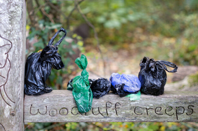 bristol-uk-discarded-used-dog-poo-bags-that-have-been-left-behind-by-dog-owners-alongside-a-public-footpath-in-woodland-instead-of-being-disposed-of