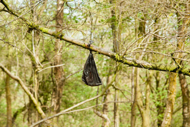 discarded-dog-waste-poo-excrement-bag-left-to-hang-on-a-tree-branch-in-the-english-countryside-bickerton-hills-cheshire-england