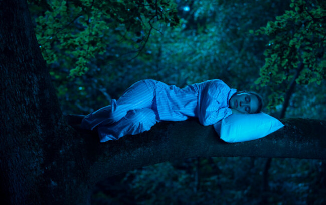 woman-in-pyjamas-asleep-in-a-tree