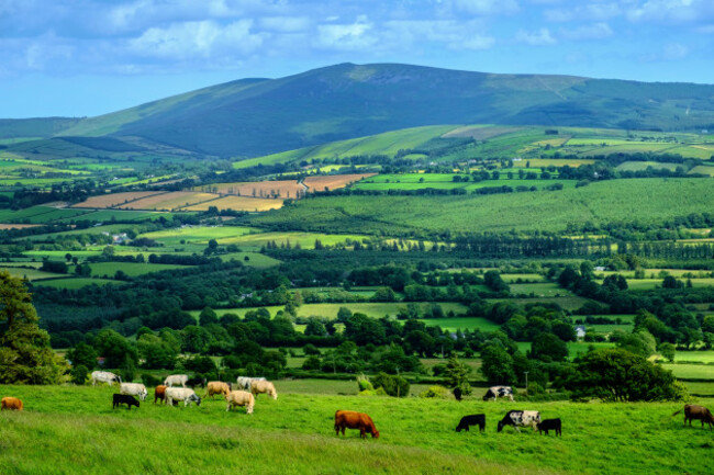 ireland-irish-green-landscape-farm-cattle-sheep-uk