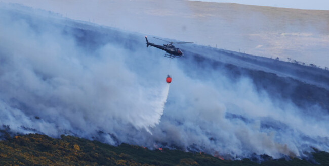 GORSE FIRE DUBLIN MOUNTAINS 9142_90749477
