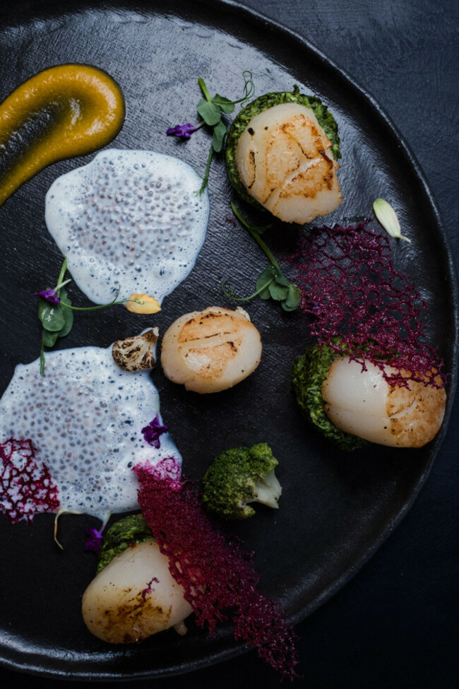 molecular-gourmet-cuisine-unusual-dark-background