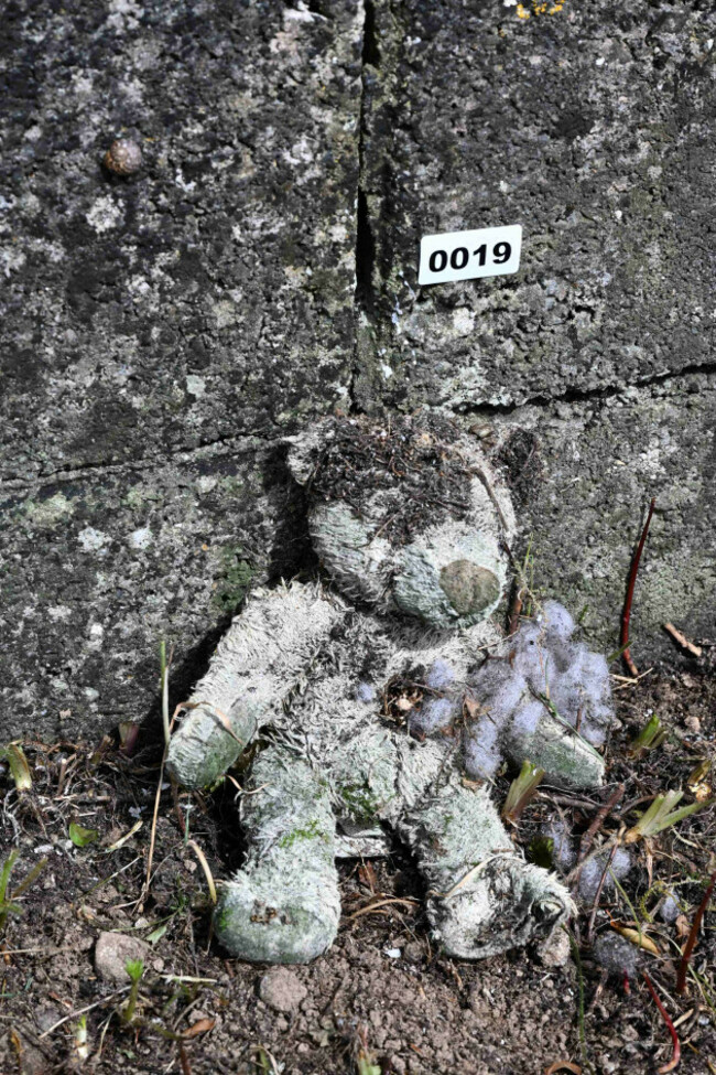 Items catalogued from the memorial garden. Credit ODAIT 002 low res