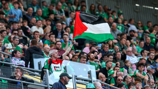 a-fan-waves-a-palestine-flag