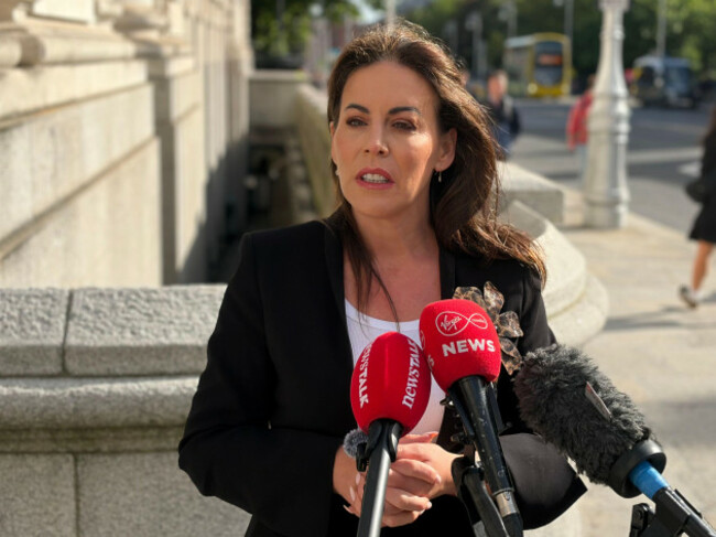 health-minister-jennifer-carroll-macneill-speaks-to-the-media-outside-government-buildings-in-dublin-about-the-row-with-the-rotunda-hospital-over-the-provision-of-private-maternity-care-on-public-only