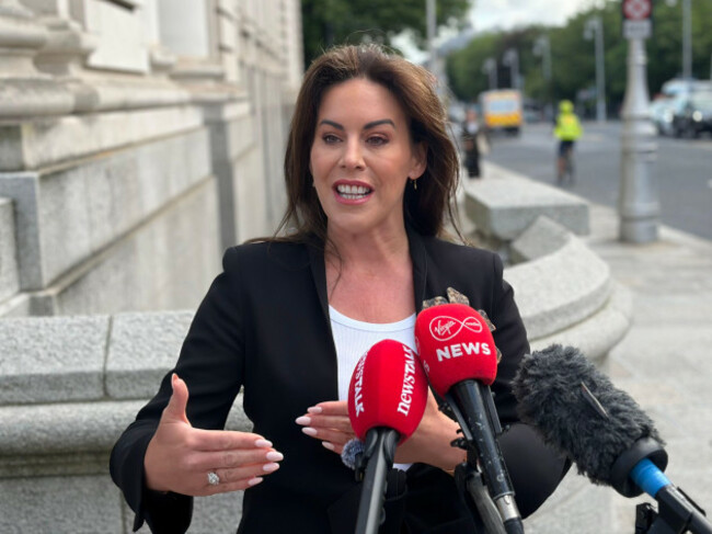 health-minister-jennifer-carroll-macneill-speaks-to-the-media-outside-government-buildings-in-dublin-about-the-row-with-the-rotunda-hospital-over-the-provision-of-private-maternity-care-on-public-only