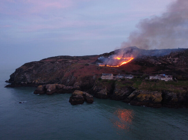 an-early-gorse-fire-on-howth-in-march-2022