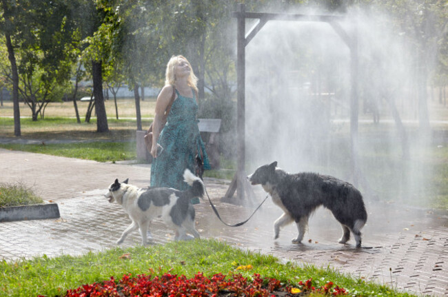 woman-with-dogs-walks-along-the-city-street-through-a-frame-with-water-pet-owner-takes-care-of-his-laika-during-hot-sunny-day