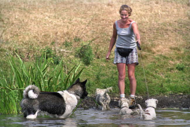 a-woman-lets-her-terrier-dogs-cool-off-at-the-doubleprint-british-horse-trials-championships-at-gatcombe-park-gloucestershire-u-image-shot-1999-exact-date-unknown