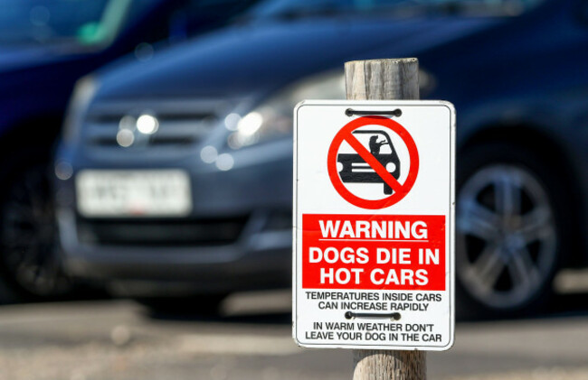dogs-die-in-hot-cars-warning-sign-at-a-carpark-in-dorset-uk
