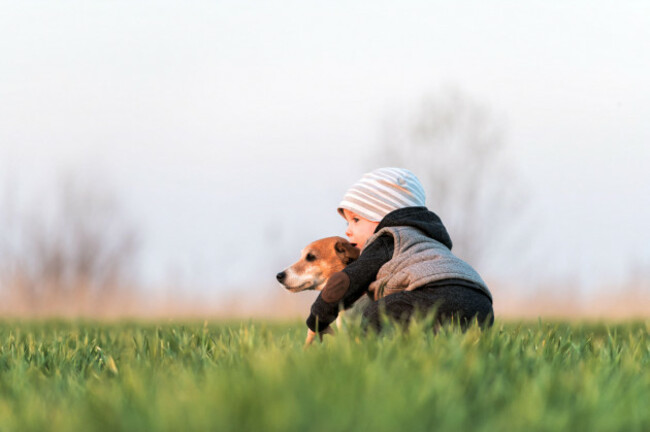 small-kid-in-yellow-jacket-with-jack-russel-terrier-puppy-embrace-one-another-on-spring-field-on-sunset-time
