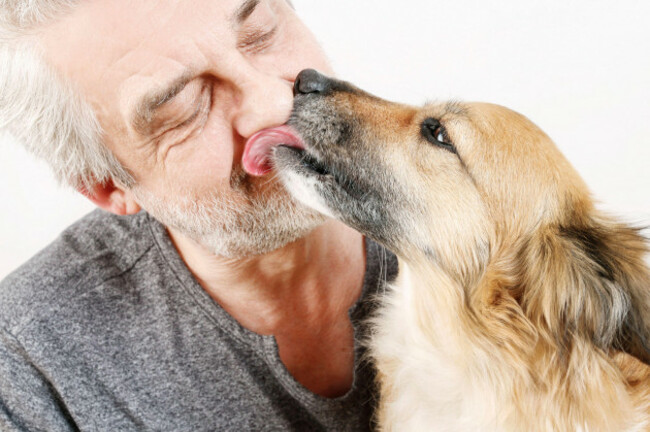 man-and-his-dog-friends-forever-relax-time