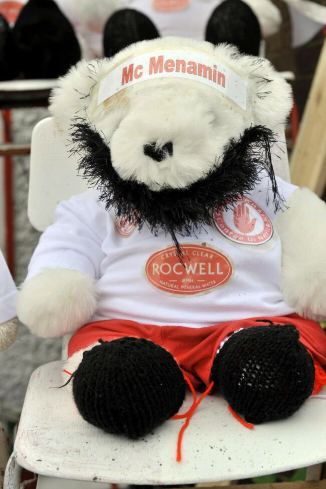 a-tyrone-teddy-sporting-a-ryan-mcmenamin-beard