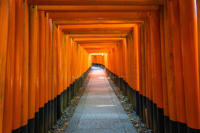 famousjapaneseshrinewalkwaywithnopeople