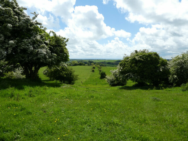 ancientcelticroadborderedbyhawthorntreesslopingdowna
