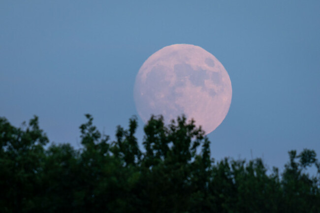 uk-weather-strawberry-moon-98-7-waxing-gibbous-rises-over-rural-farmland-in-long-sutton-somerset-uk