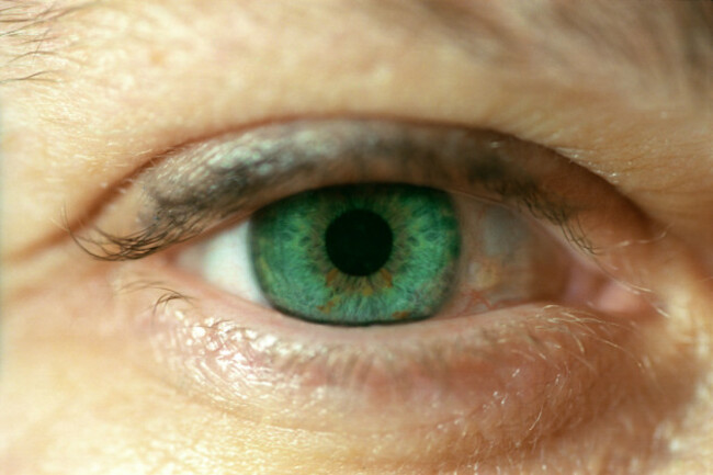 close-up-picture-of-a-green-eye