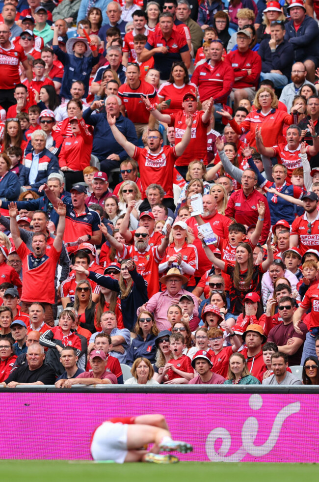 cork-fans-react