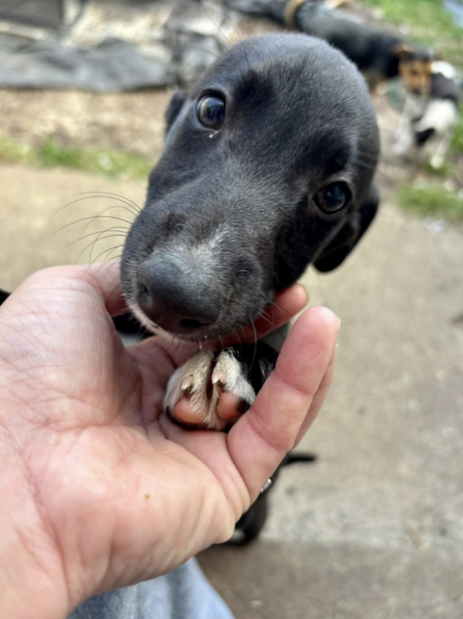 Screenshot 2026-07-09 at 22.01.00