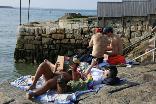 SANDYCOVE 1118_90751558