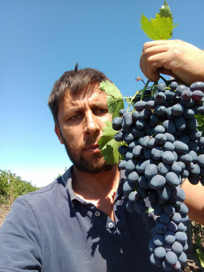 Dinu Todos fermier