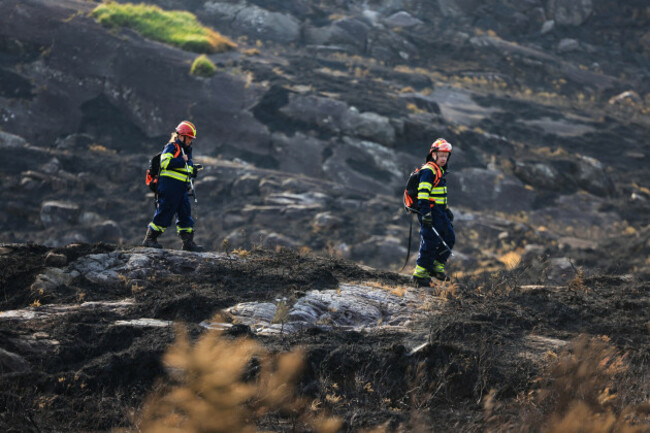 Aftermath Fire Killarney National Park3