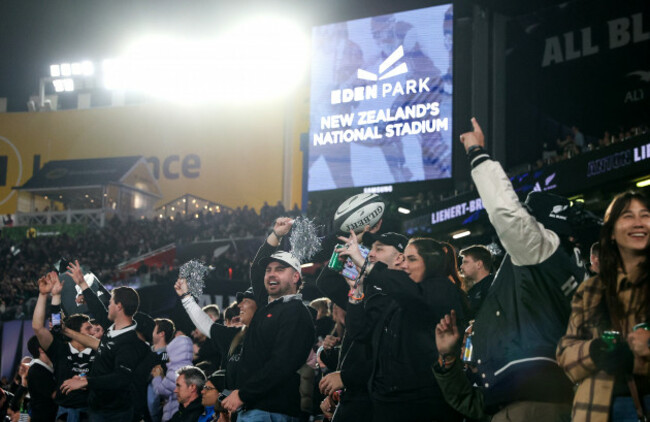 a-view-of-new-zealand-fans
