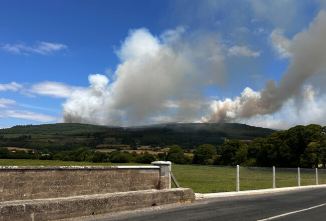 Wild fire-44_90752046