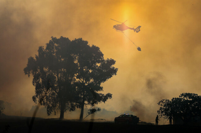 firefighters-and-local-police-are-on-the-scene-of-a-wildfire-in-rome-tuesday-july-21-2026-francesco-benvenutilapresse-via-ap