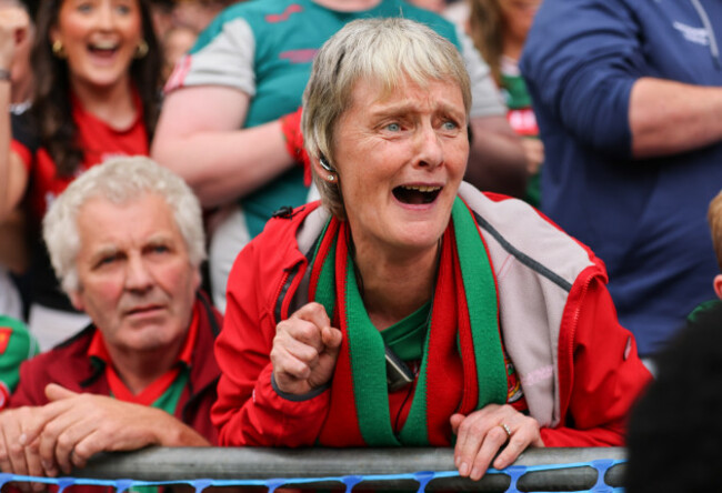 a-view-of-a-mayo-fan
