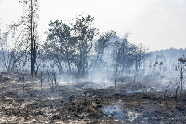 burned-residential-properties-are-seen-after-the-passage-of-the-wildfire-smoke-continues-to-rise-from-the-affected-areas-as-firefighters-monitor-remaining-hotspots-in-lege-france-on-july-27-2026