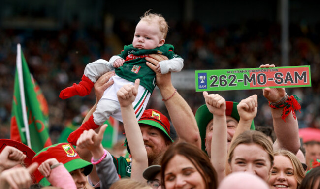 a-view-of-a-young-irish-fan