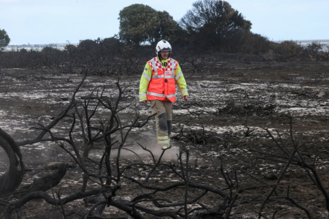 emergency-services-near-the-scene-of-the-wildfire-at-dunwich-heath-near-leiston-where-a-major-incident-was-declared-as-firefighters-battled-a-large-heathland-blaze-on-the-suffolk-coast-fire-crews-b