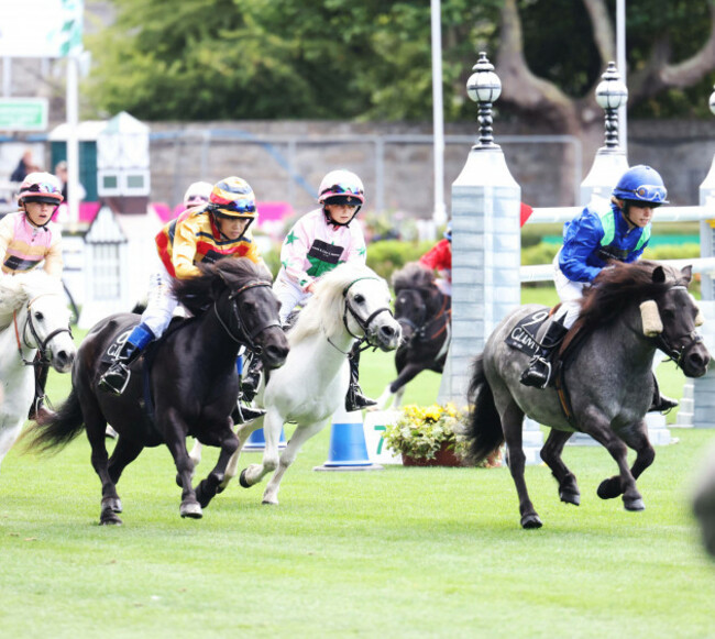 dublin horse show
