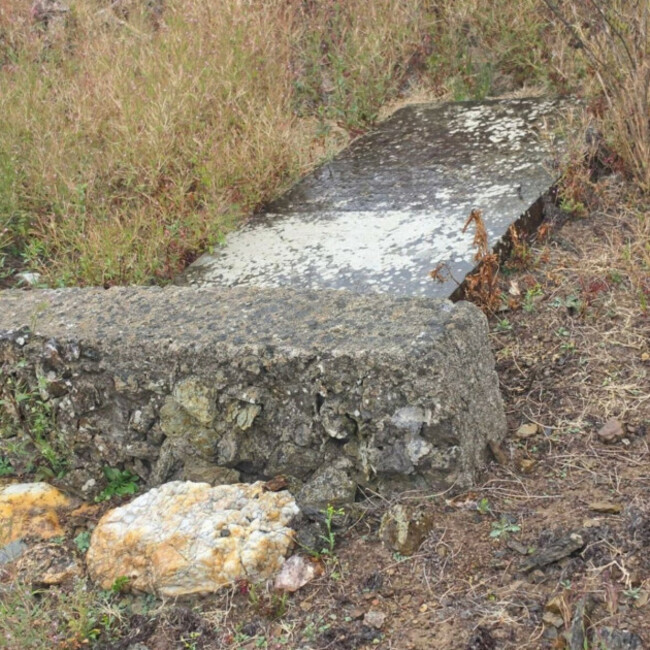 square-image (1)