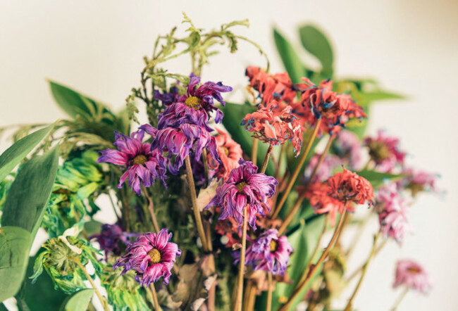 a-bouquet-of-dead-colorful-flowers