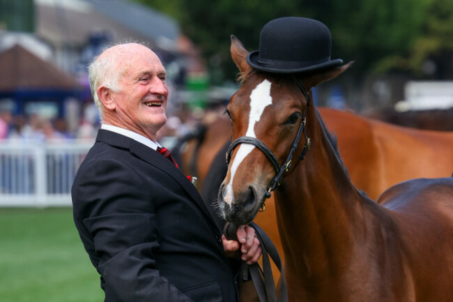 dublin-horseshow-horse-show