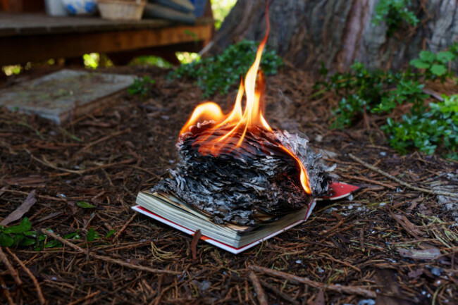 open-book-burns-with-vibrant-orange-flames-on-a-forest-floor-covered-in-pine-needles-and-twigs-leaving-behind-charred-and-blackened-pages-as-symbol-o