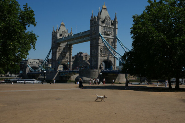 a-dog-runs-over-dried-grass-in-front-of-tower-bridge-during-the-fifth-heatwave-of-the-year-in-london-thursday-aug-13-2026-ap-photokirsty-wigglesworth