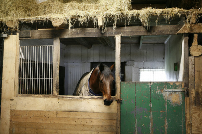 horse-in-tradional-stable-image-shot-2007-exact-date-unknown