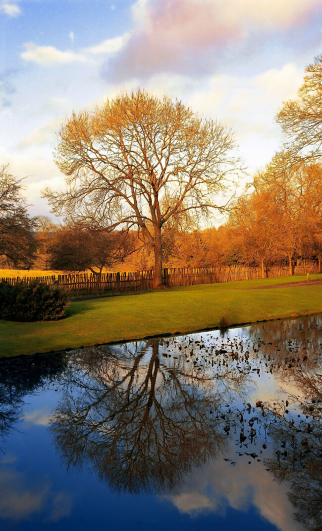 charlecote-park-stately-home-warwickshire-england-uk