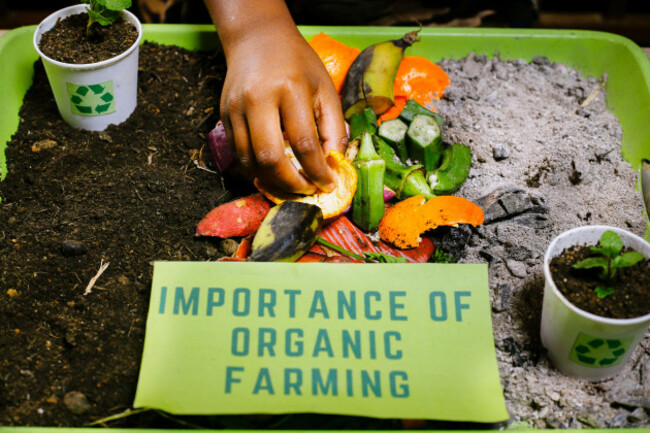 importance-of-organic-farming