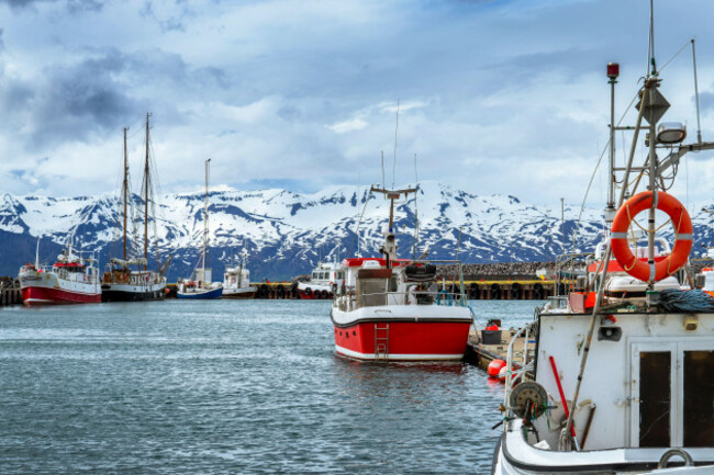 colorful-red-and-white-fishing-boats-in-the-port-of-the-small-town-of-husavik-in-the-north-of-iceland
